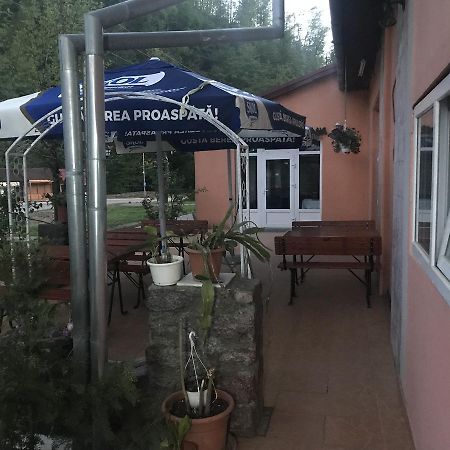 Vila Tanamera Hotel Moneasa Exterior photo