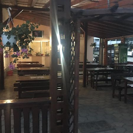 Vila Tanamera Hotel Moneasa Exterior photo