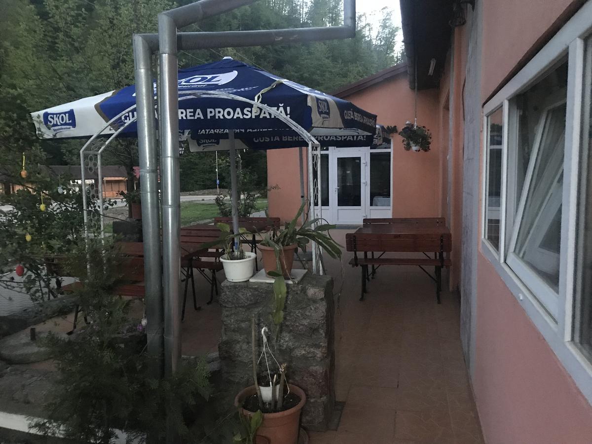 Vila Tanamera Hotel Moneasa Exterior photo