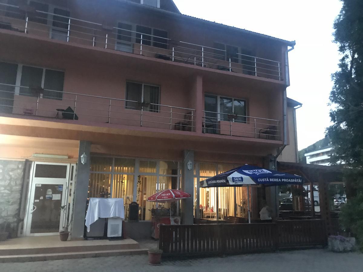 Vila Tanamera Hotel Moneasa Exterior photo